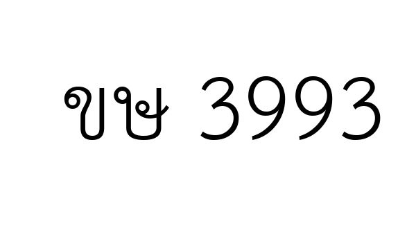 ขษ 3993